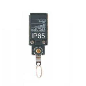 TECK trekschakelaar TS – IP 65