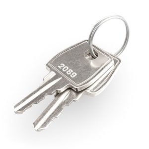 LBA 86 sleutel slagboom – Set van 2 stuks
