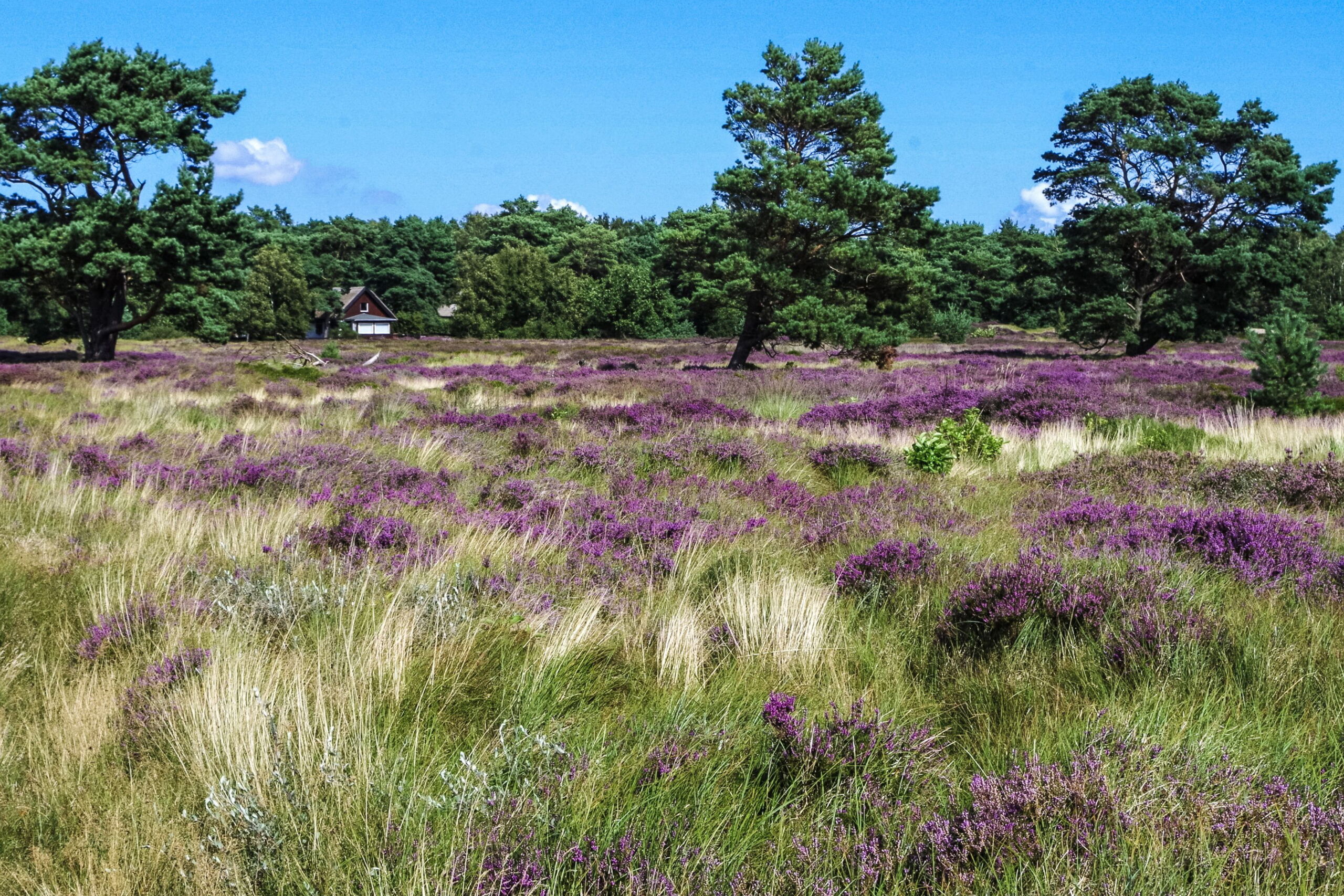 Natuurgebieden